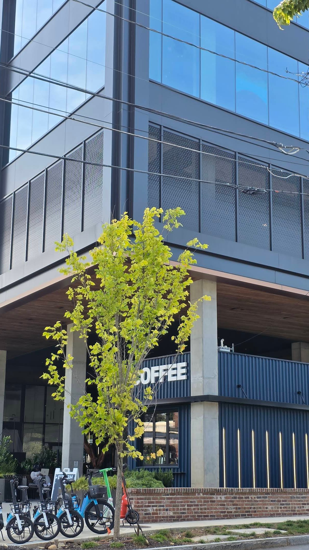 BRASH Coffee specialty coffee shop in Atlanta - photo 7