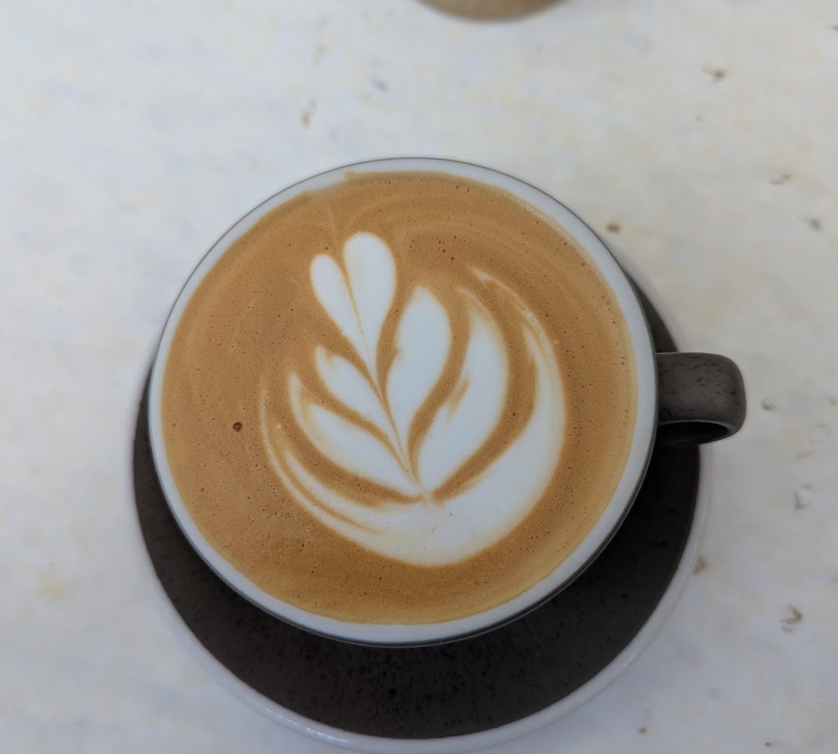 Bonjour Jacob specialty coffee shop in Paris - photo 3