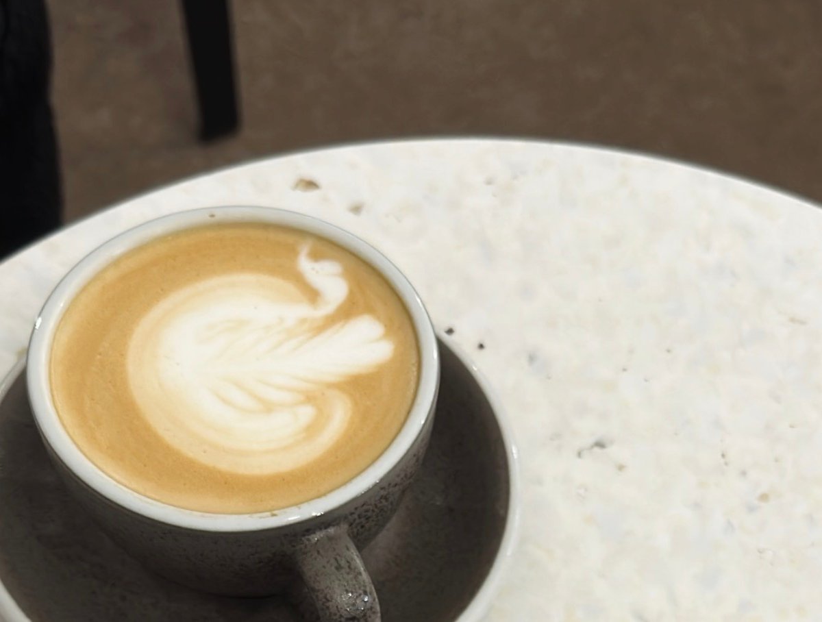 Bonjour Jacob specialty coffee shop in Paris - photo 6