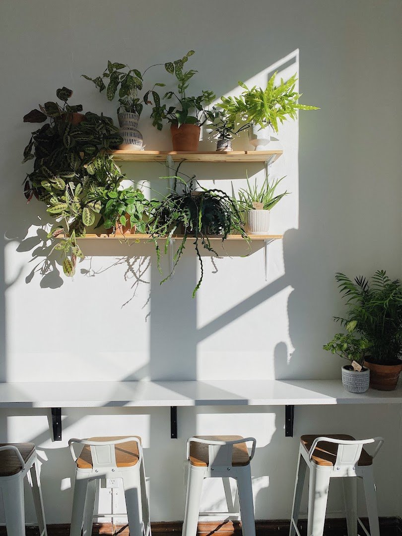 Sleepyhead Coffee specialty coffee shop in Chattanooga - photo 12