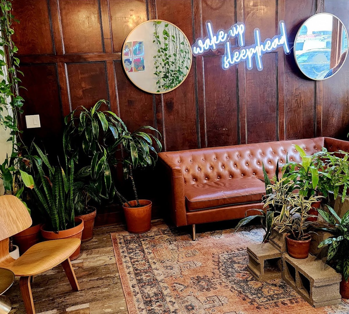 Sleepyhead Coffee specialty coffee shop in Chattanooga - photo 18