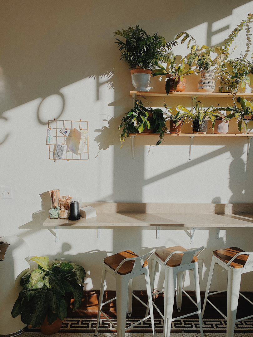 Sleepyhead Coffee specialty coffee shop in Chattanooga - photo 19