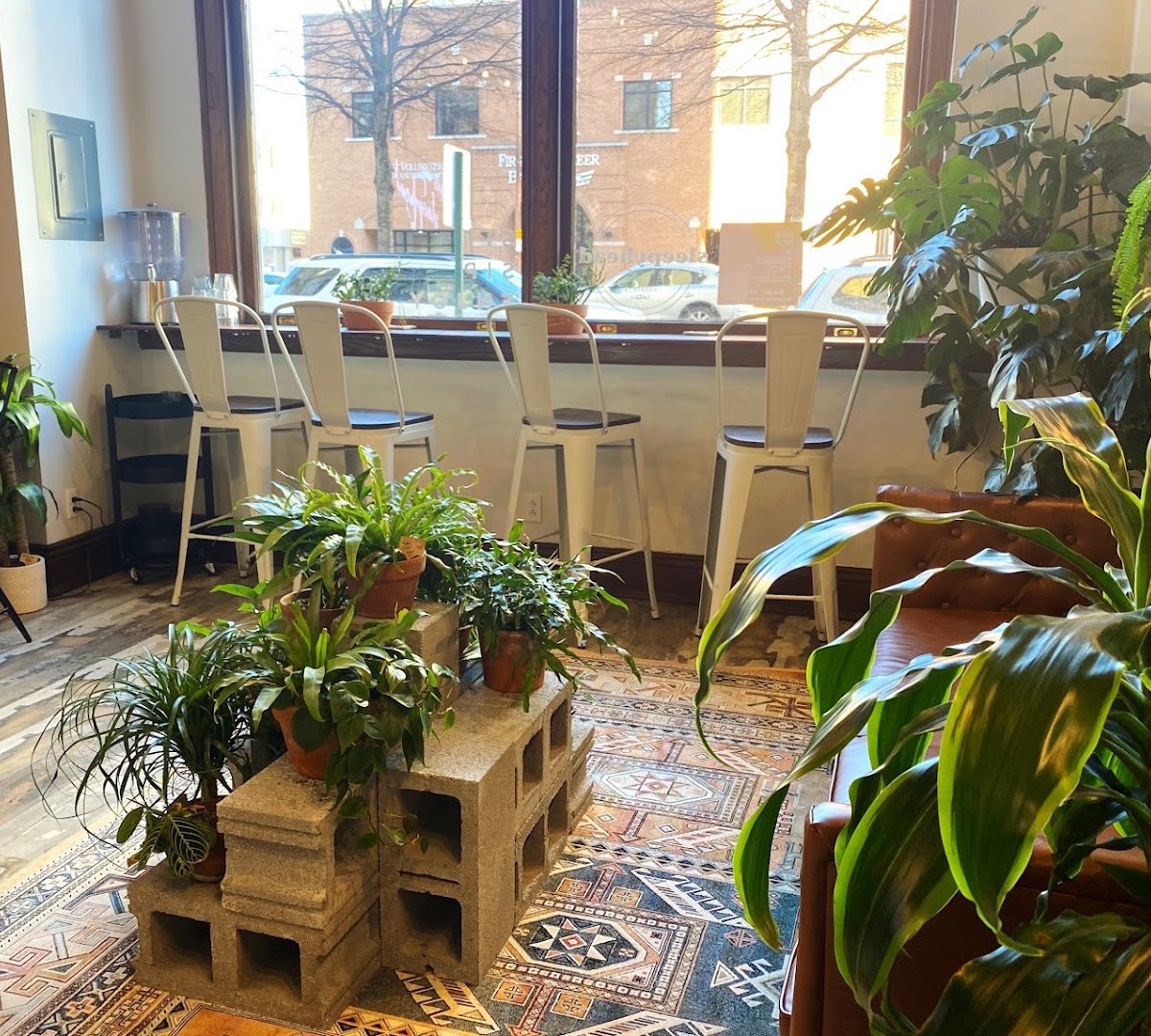 Sleepyhead Coffee specialty coffee shop in Chattanooga - photo 20