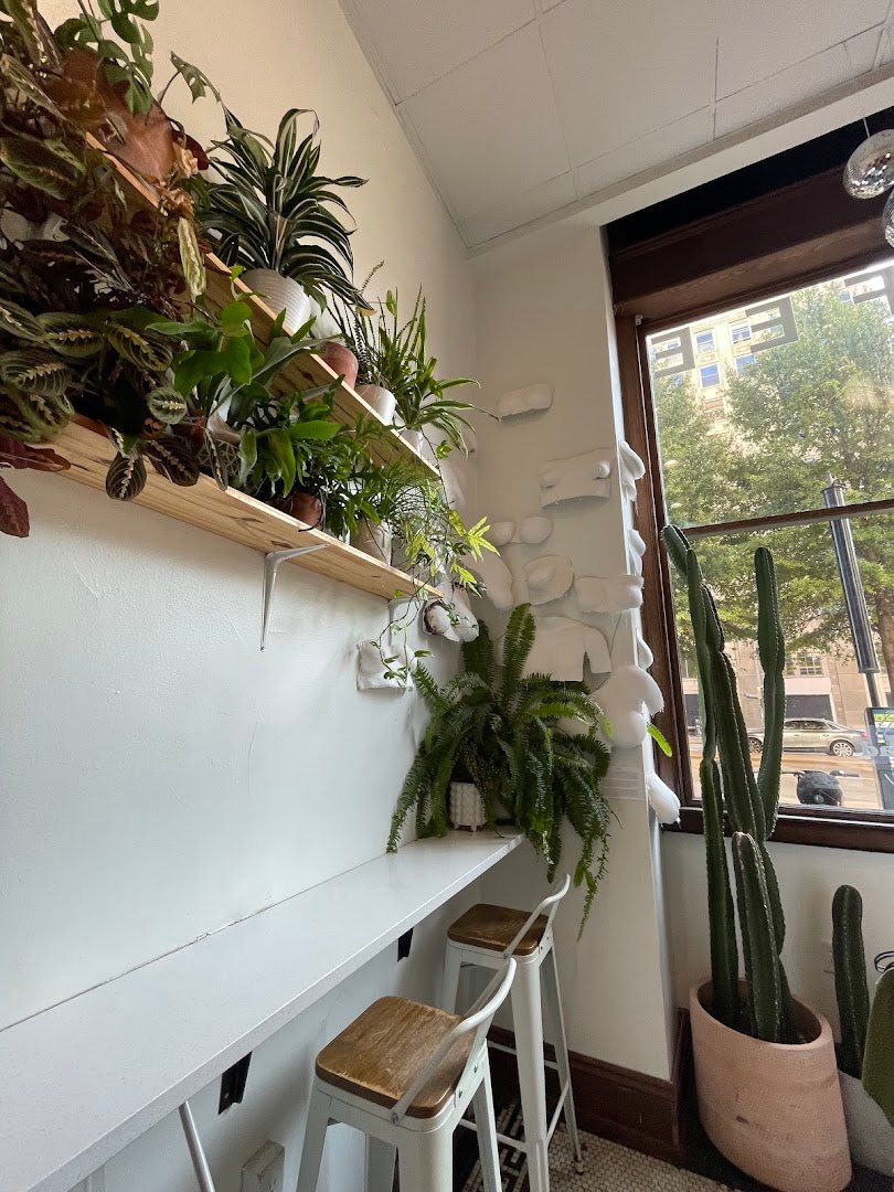 Sleepyhead Coffee specialty coffee shop in Chattanooga - photo 10