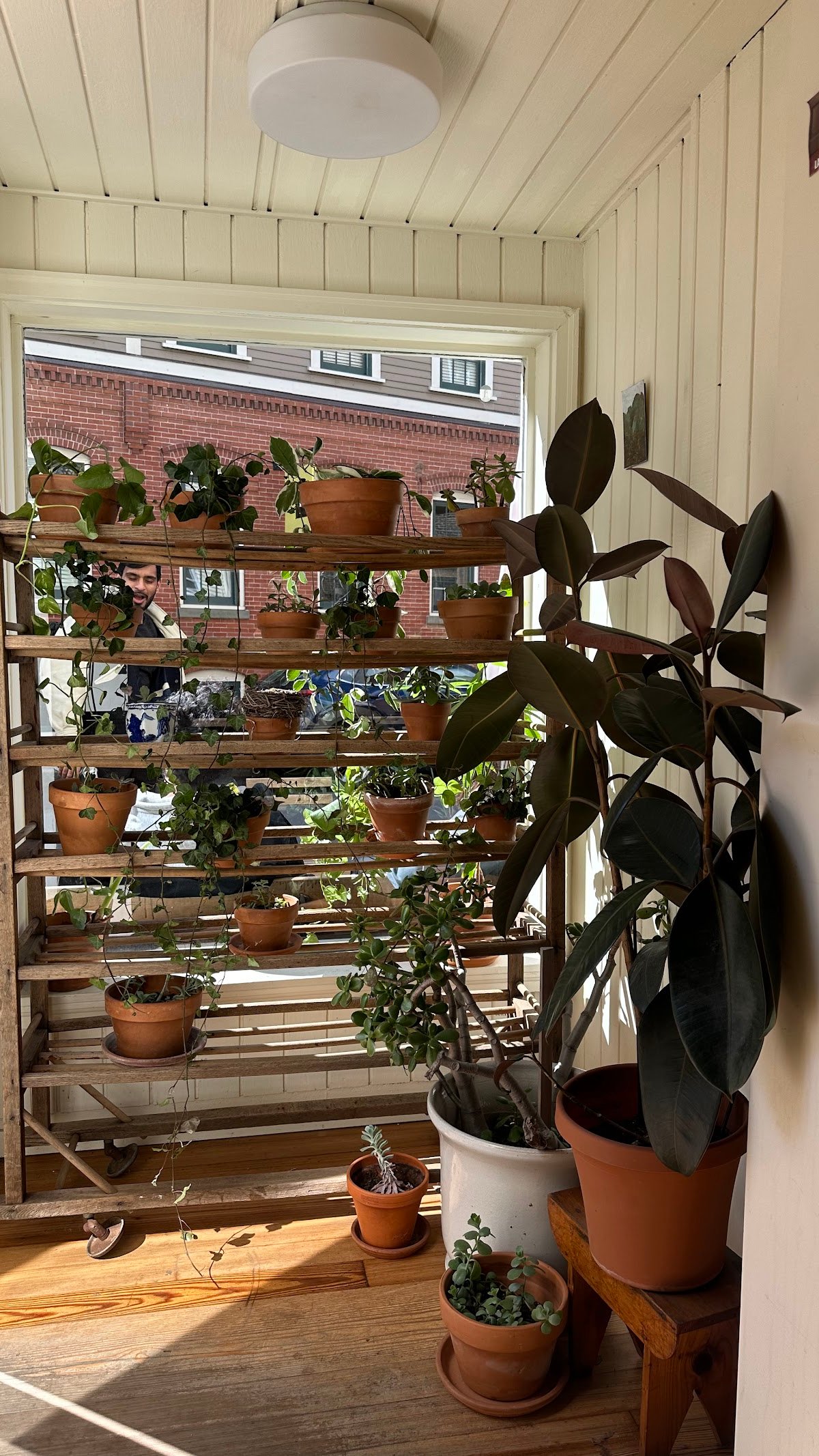 Faro Café specialty coffee shop in Boston - photo 13