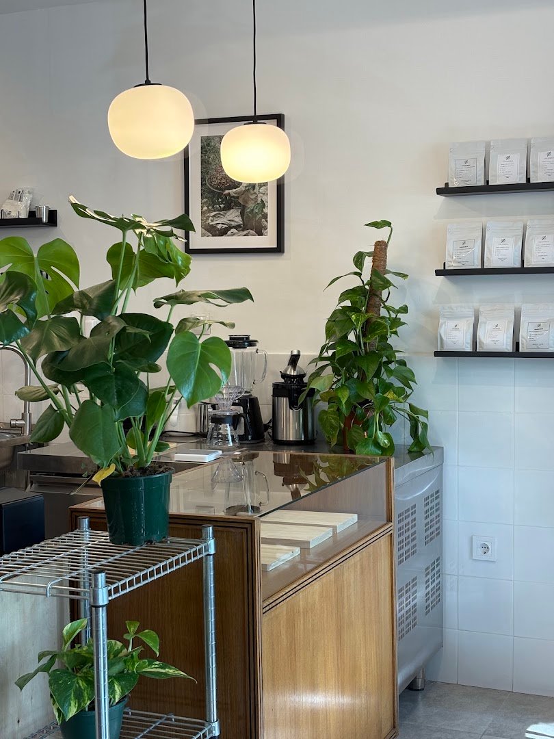Lille Drømme kaffe - Café de especialidad. specialty coffee shop in Madrid - photo 6