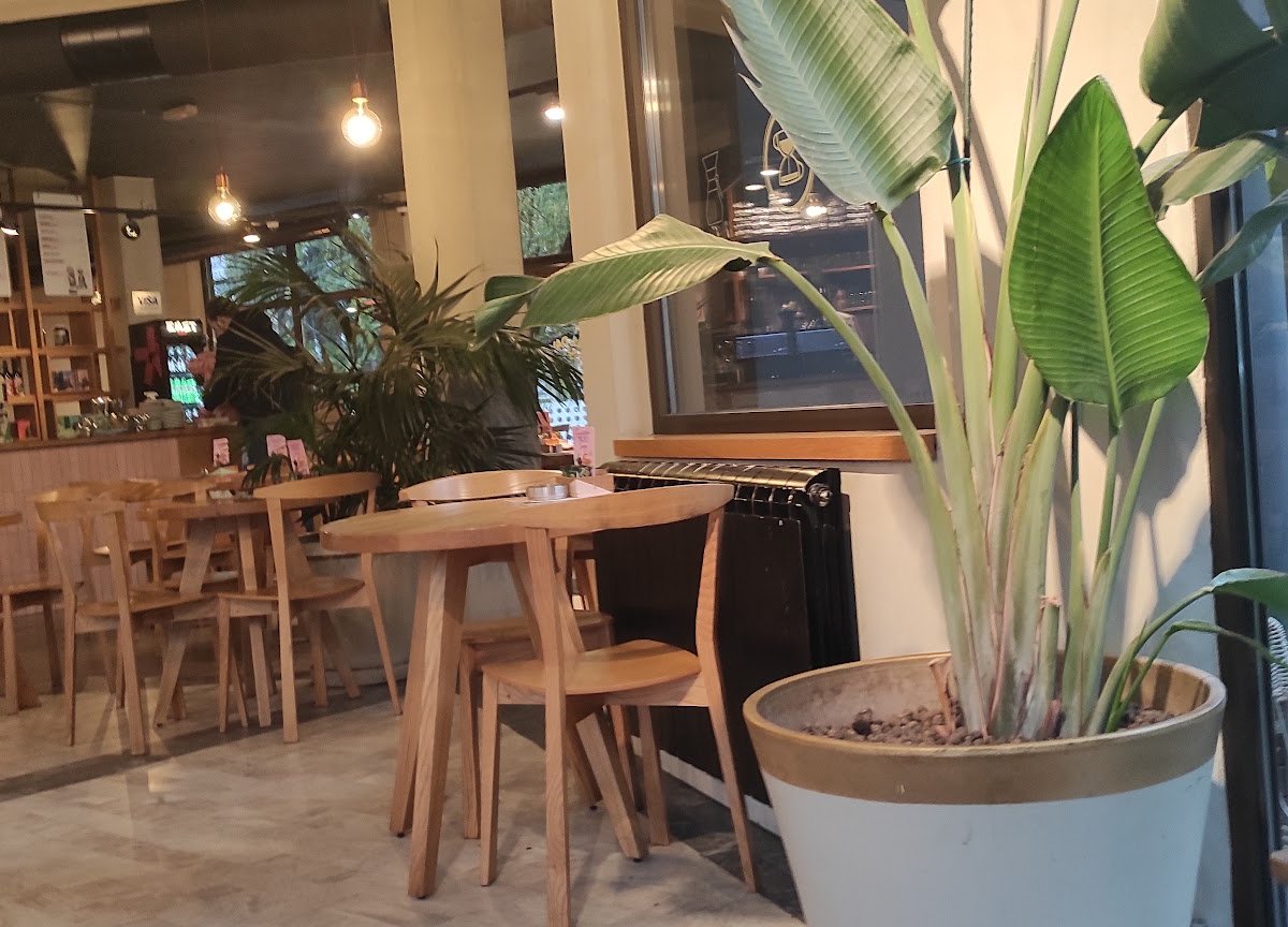 Interior of Kafeterija Dedinje, specialty coffee shop in Belgrade