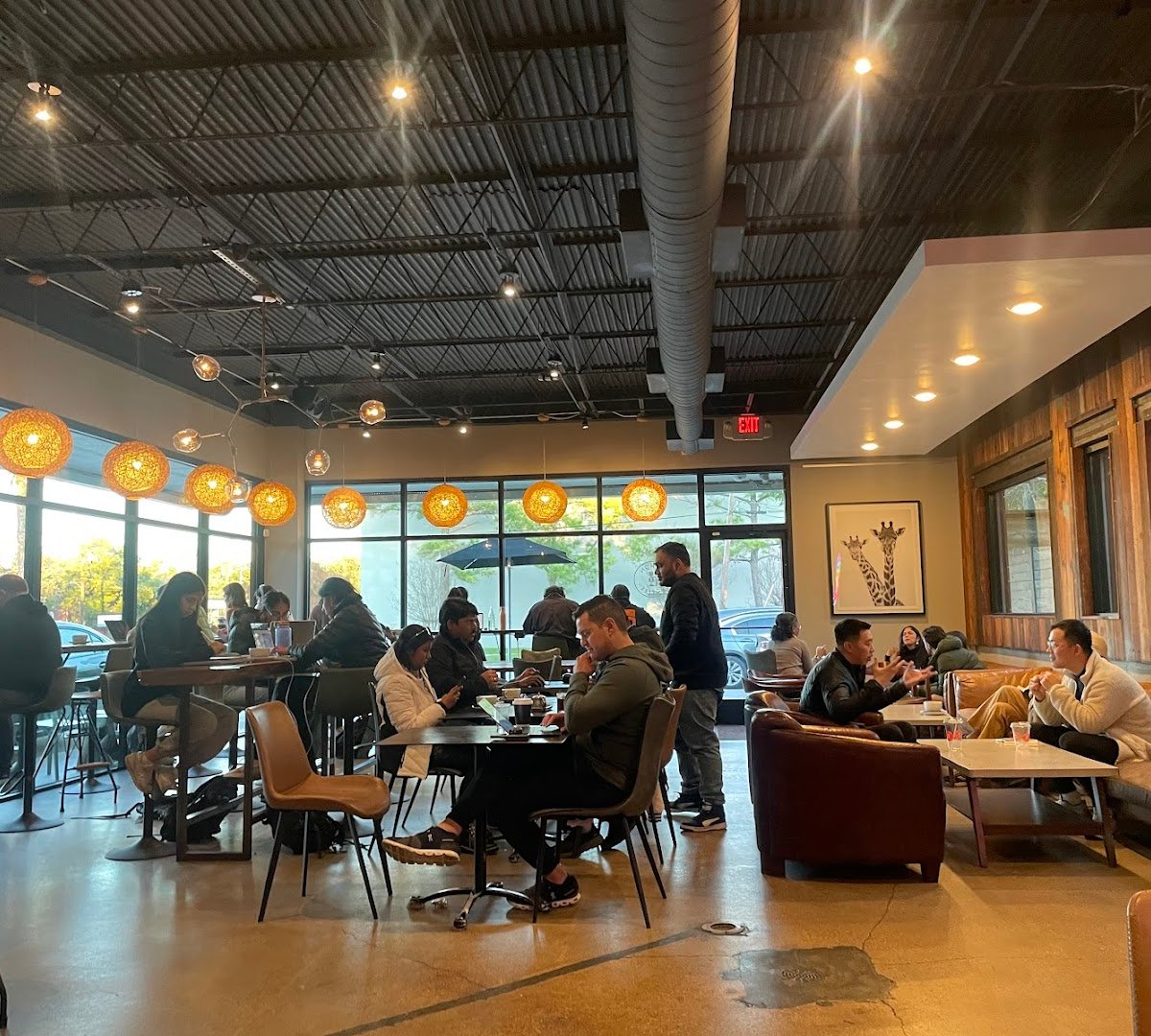 Siphon Coffee specialty coffee shop in Houston - photo 9