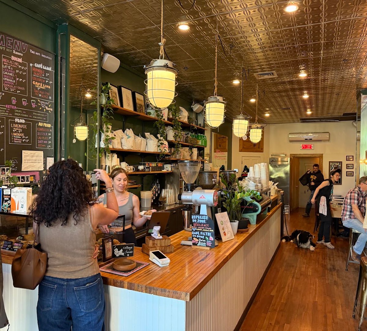 Interior of Café Humble Lion (Sherbrooke), specialty coffee shop in Montreal