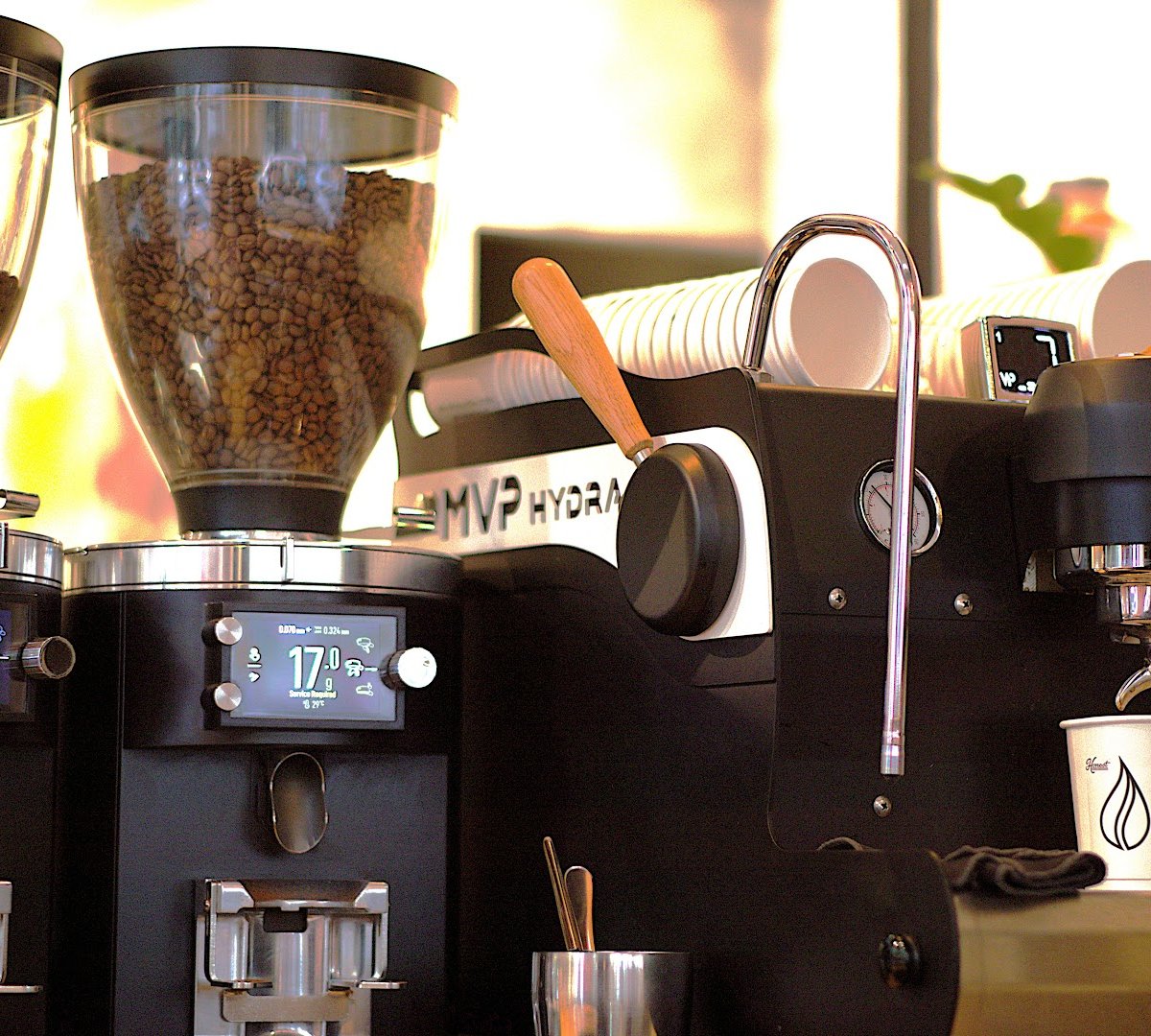 Interior of Honest Coffee Developers, specialty coffee shop in Athens
