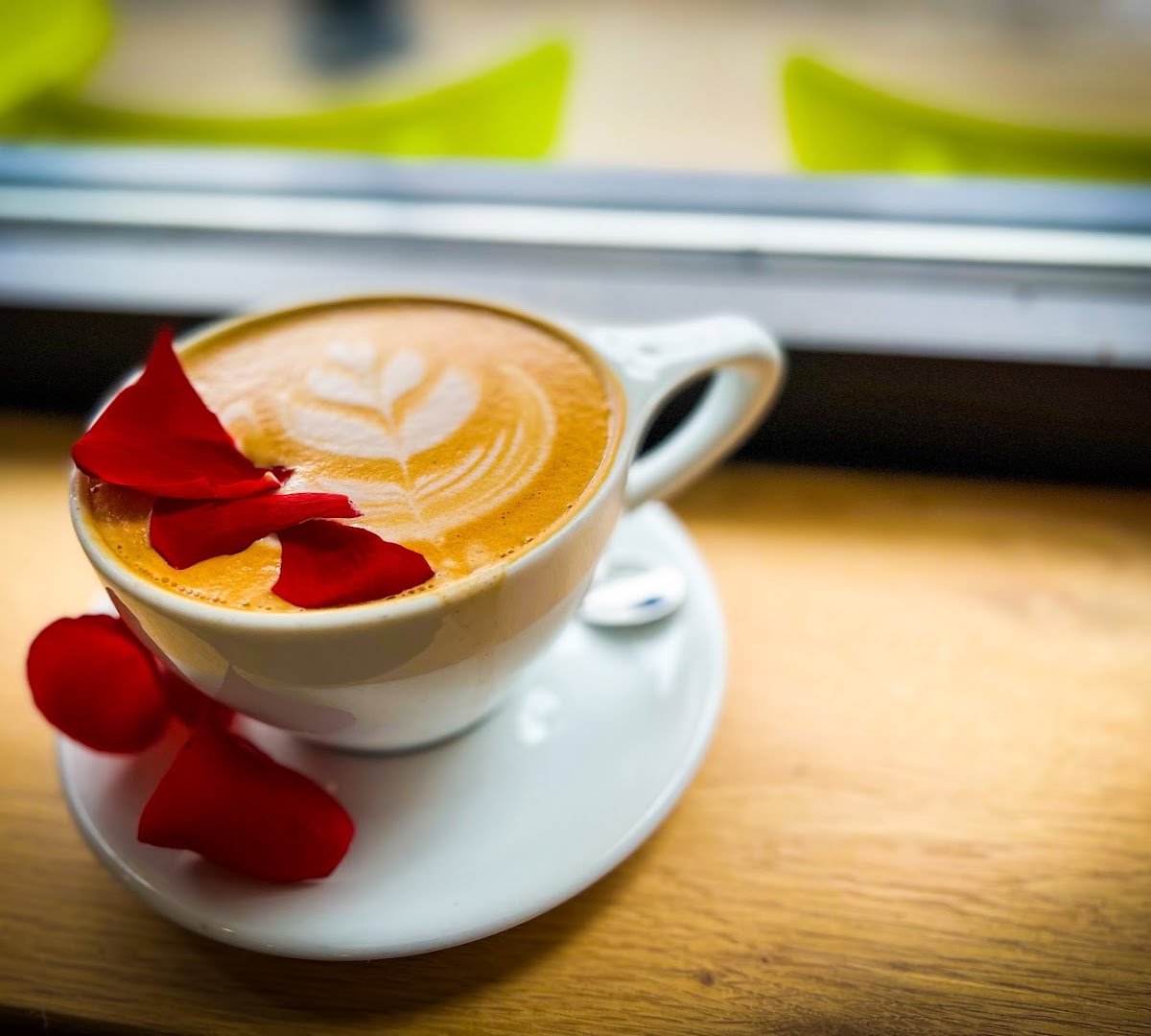 Coffee at Arriviste Coffee Roasters — Shadyside, specialty coffee shop in Pittsburgh