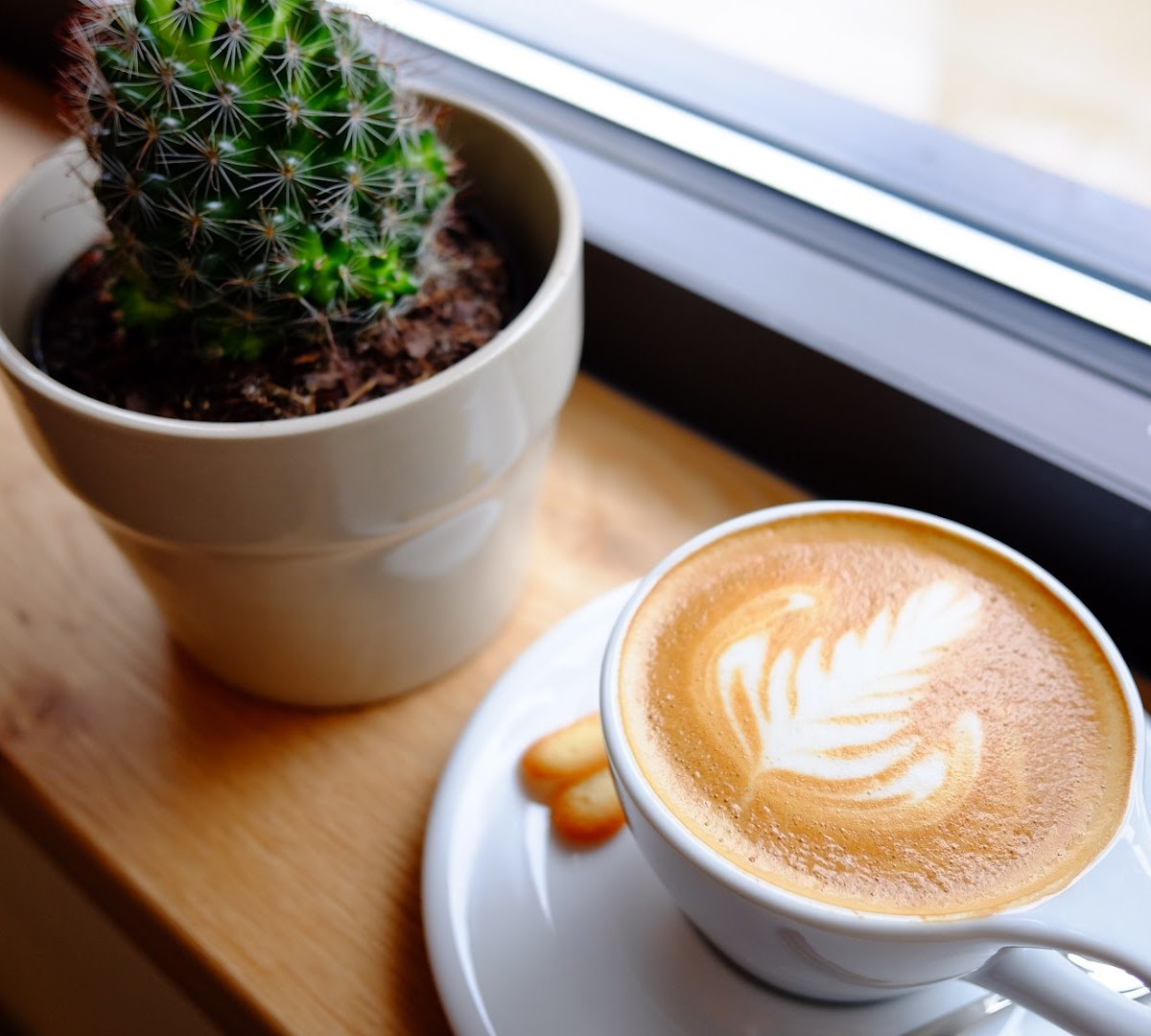 Coffee at Arriviste Coffee Roasters — Shadyside, specialty coffee shop in Pittsburgh