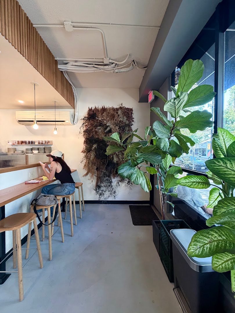 Interior of Scorpio, specialty coffee shop in Sacramento