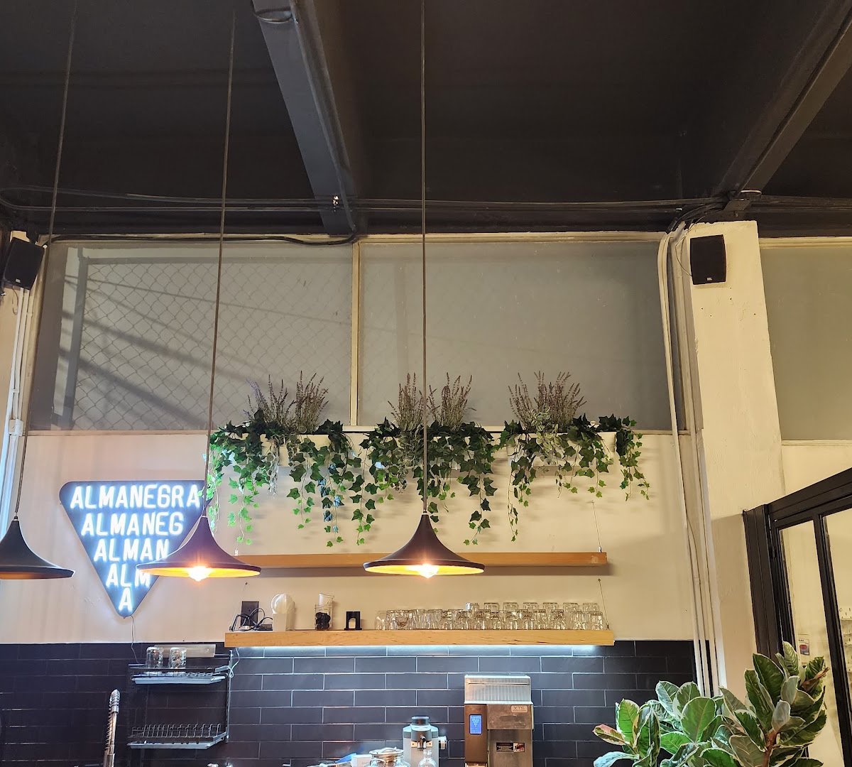 Interior of Almanegra Café, specialty coffee shop in Mexico City