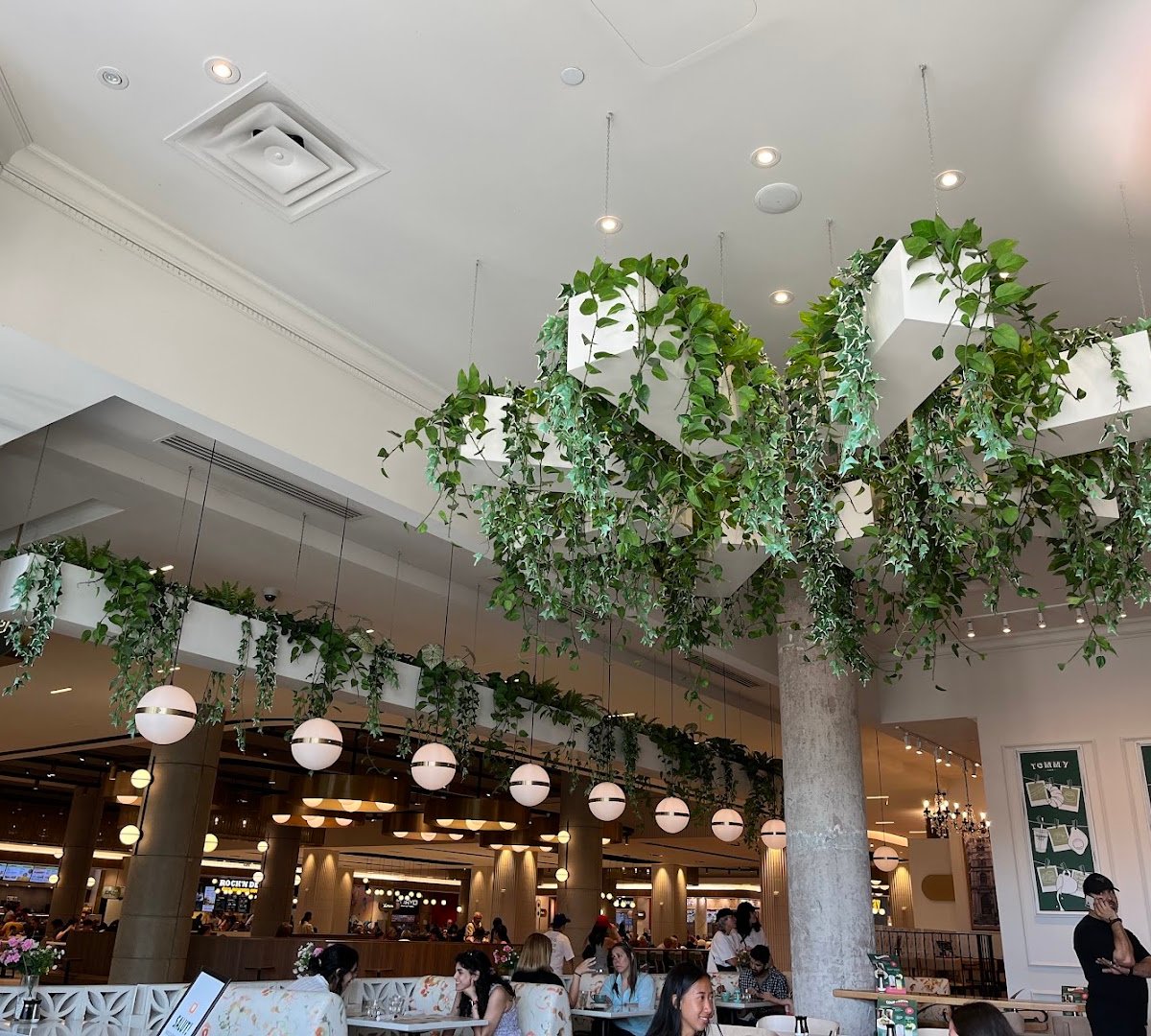 Interior of Tommy Café, specialty coffee shop in Montreal