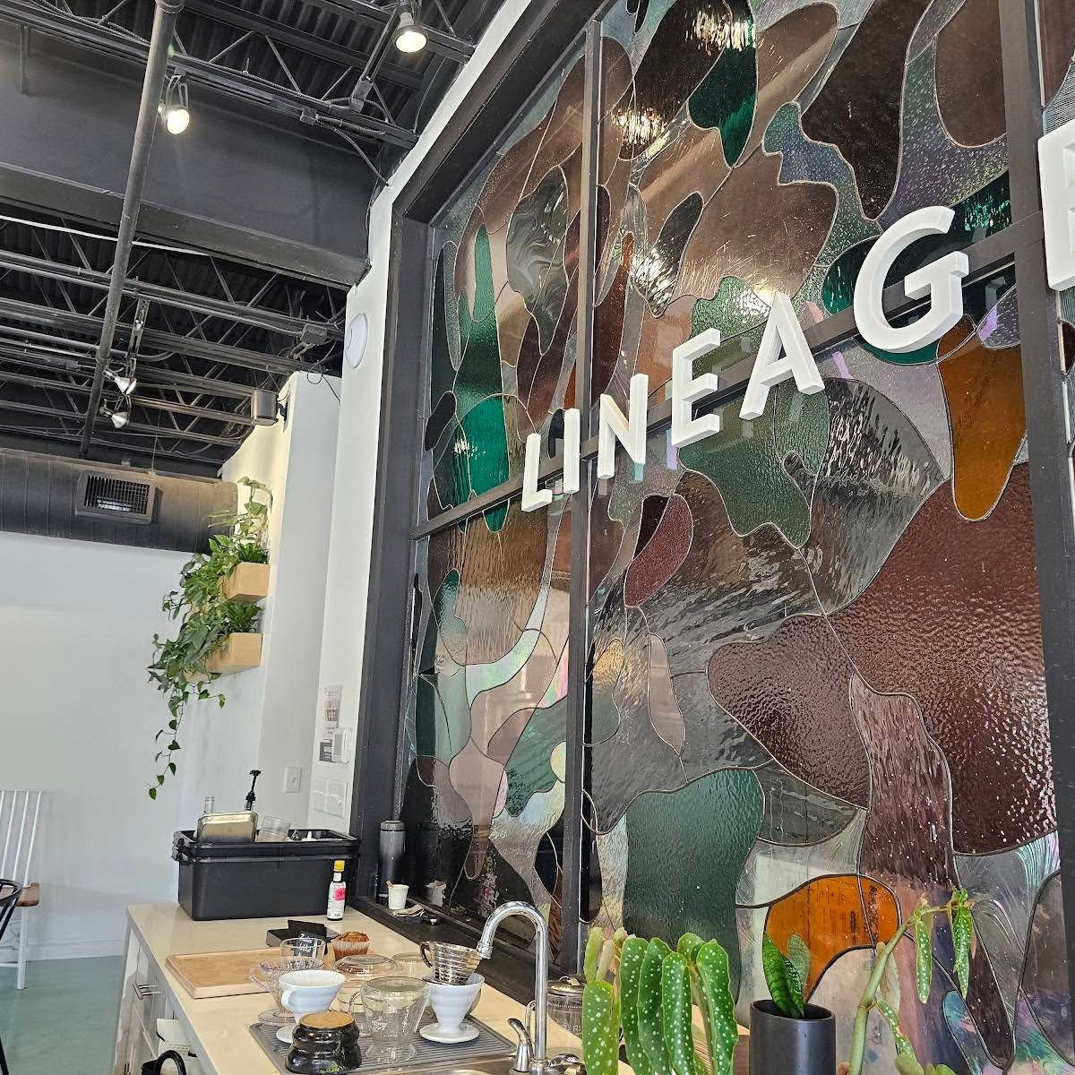 Lineage Coffee specialty coffee shop in Orlando - photo 2