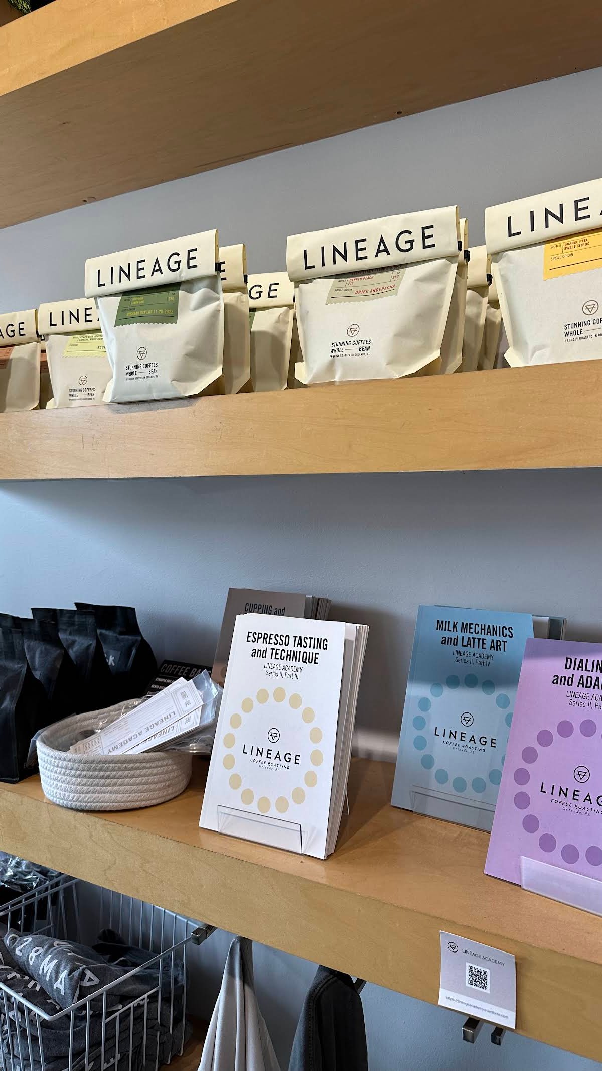 Lineage Coffee specialty coffee shop in Orlando - photo 3