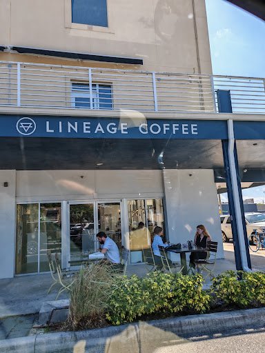 Lineage Coffee specialty coffee shop in Orlando - photo 7