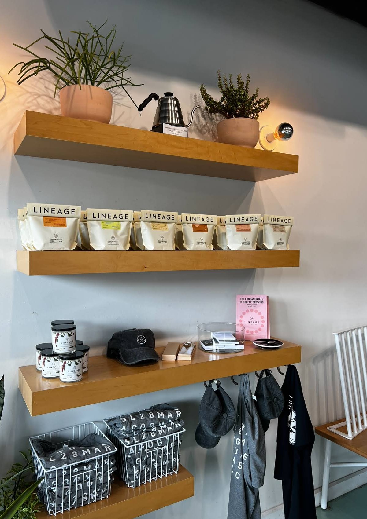 Lineage Coffee specialty coffee shop in Orlando - photo 8