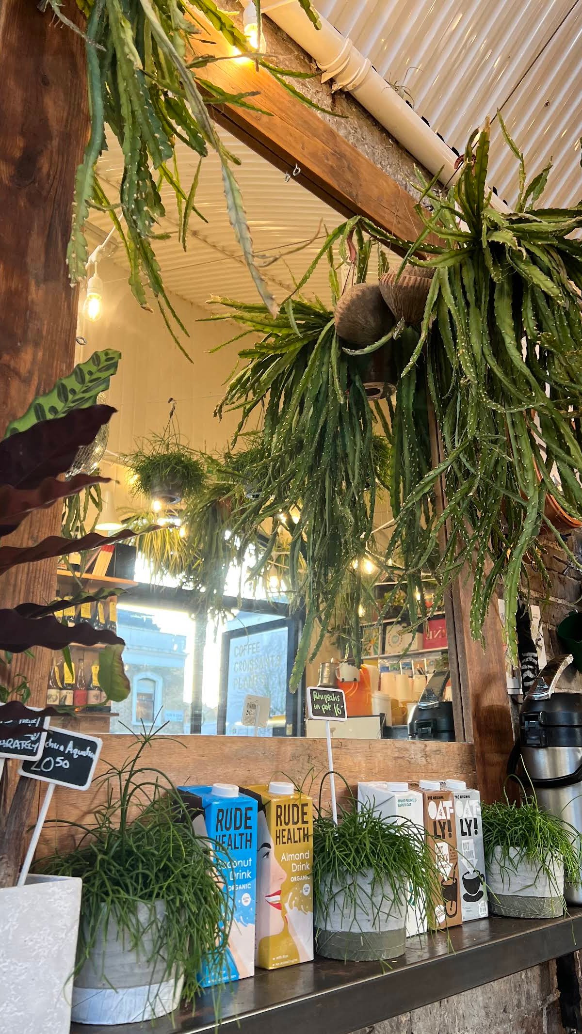 The Fields Beneath specialty coffee shop in London - photo 9