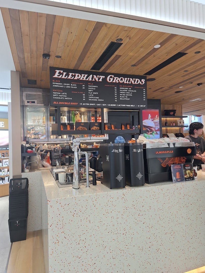 Interior of Elephant Grounds, specialty coffee shop in Hong Kong