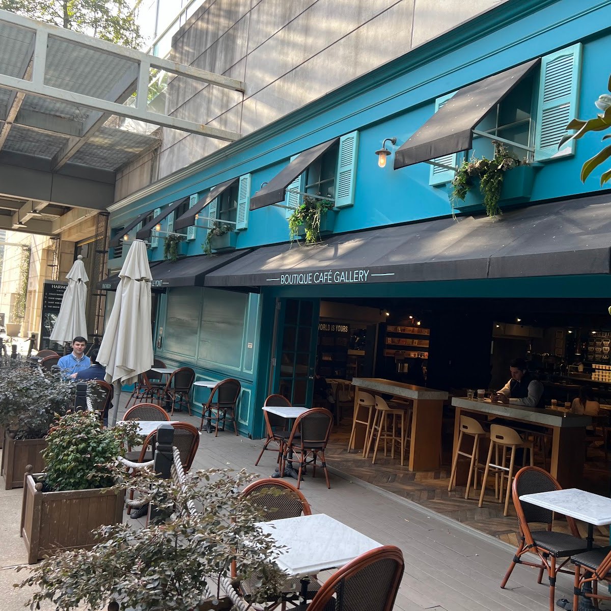 Magnolias Sous Le Pont specialty coffee shop in Dallas - photo 11