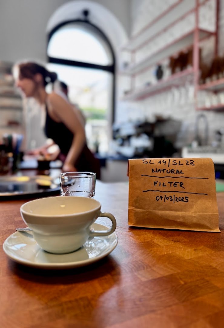 Interior of small batch, specialty coffee shop in Vienna