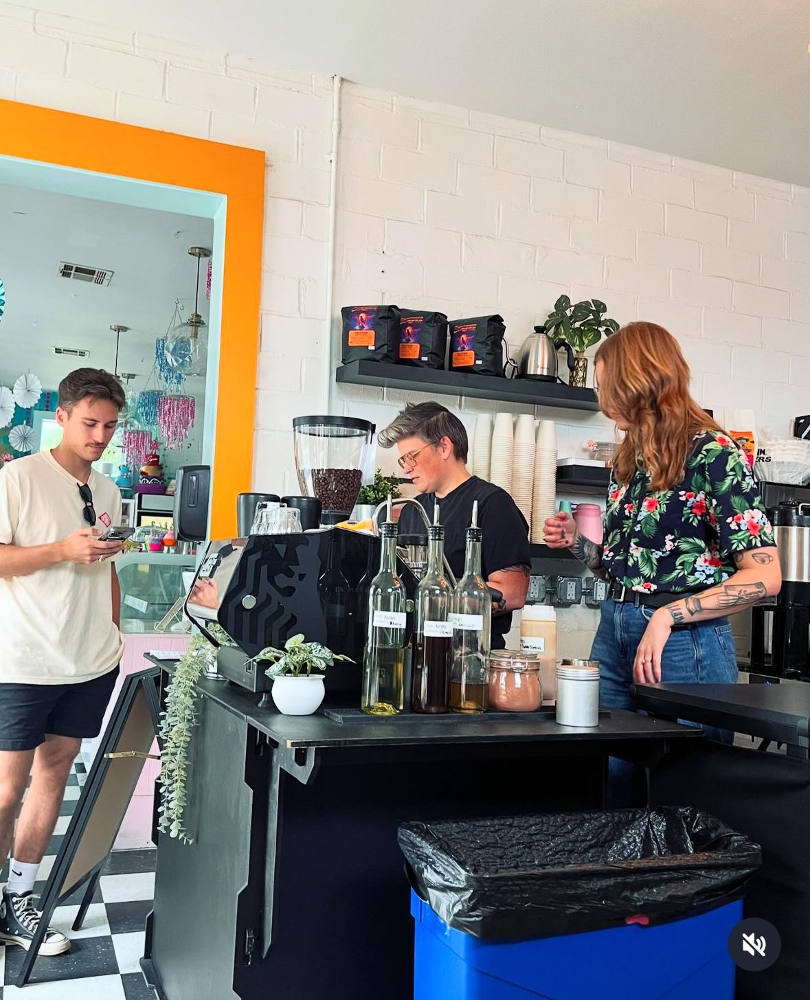 Sightseer Coffee Bar specialty coffee shop in Austin - photo 3