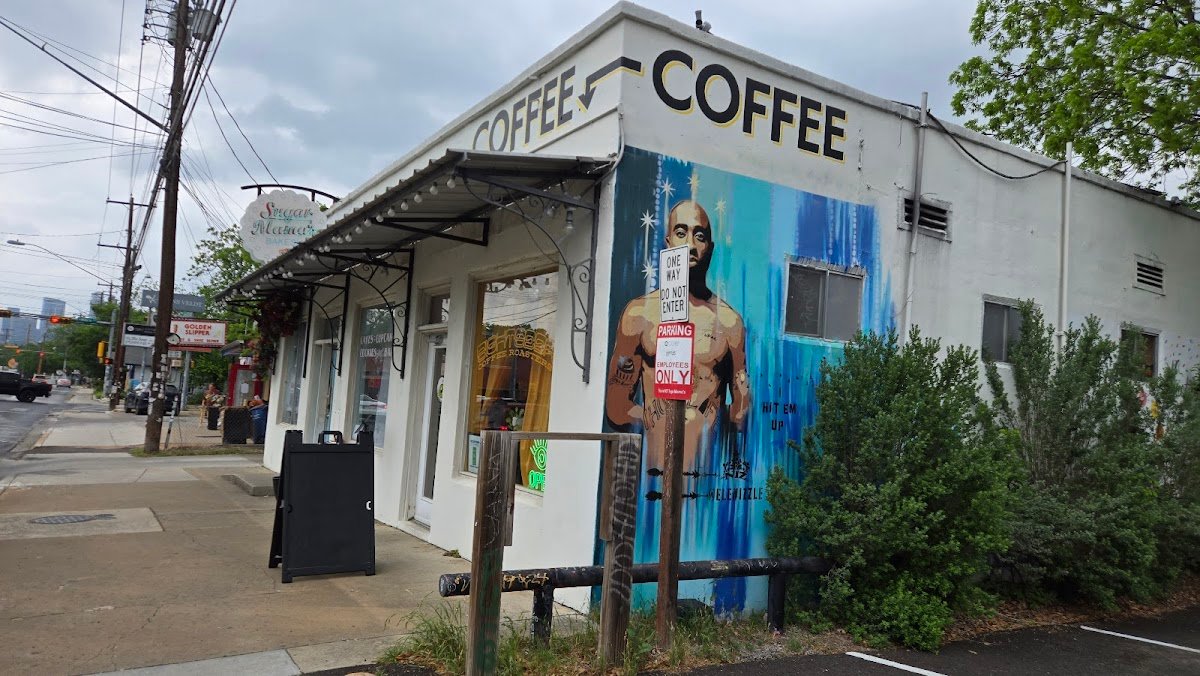 Sightseer Coffee Bar specialty coffee shop in Austin - photo 6