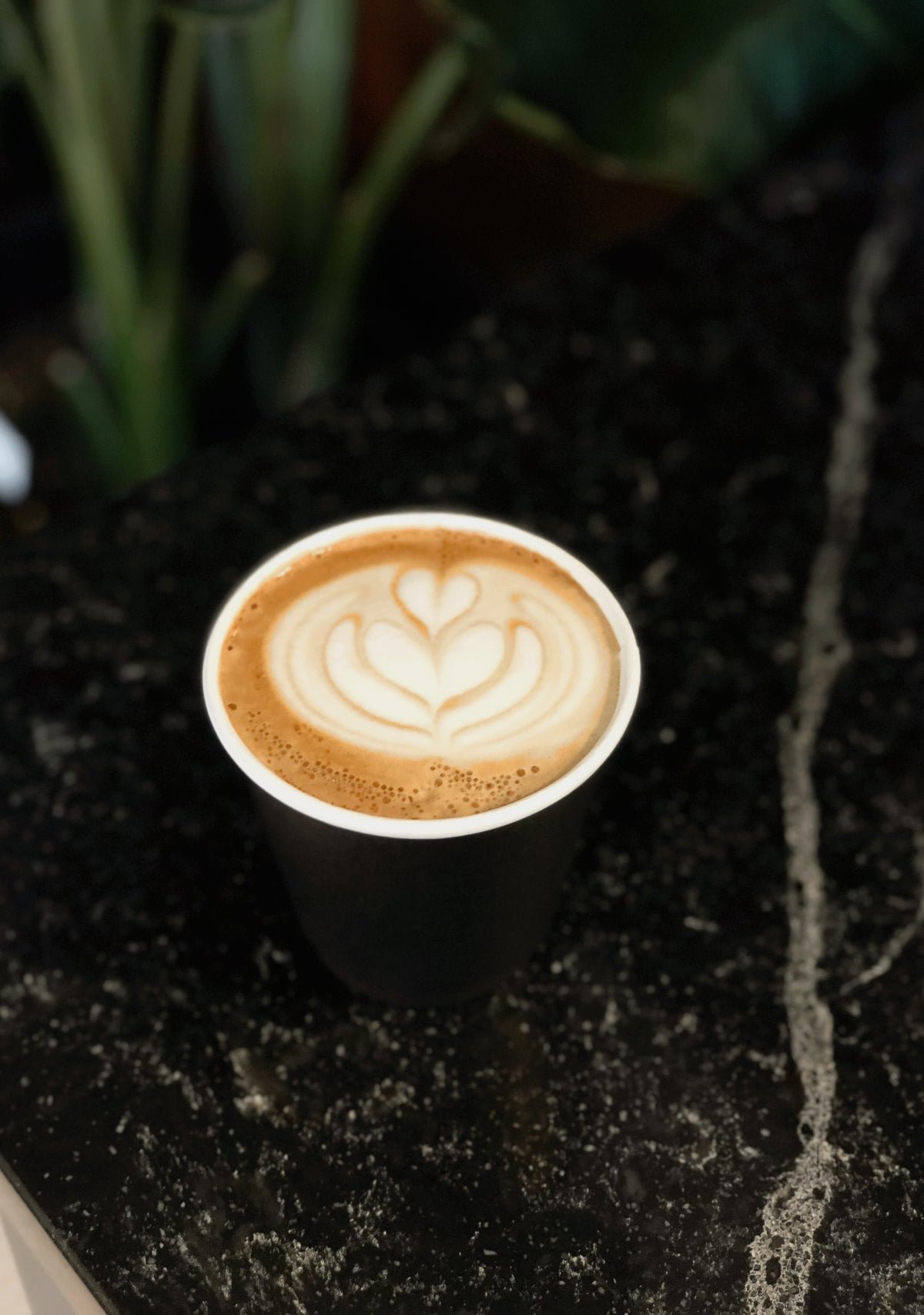 Elegy Coffee East specialty coffee shop in Nashville - photo 8