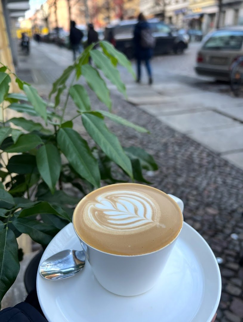 Town Mouse Coffee specialty coffee shop in Berlin - photo 9