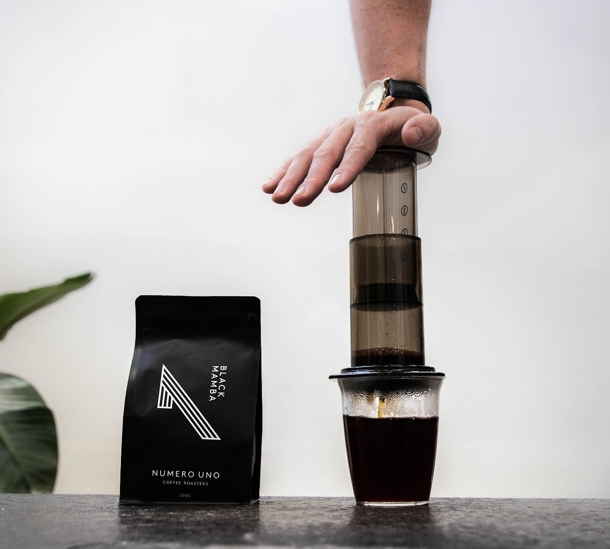 Numero Uno Coffee Roasters specialty coffee shop in Sydney - photo 6