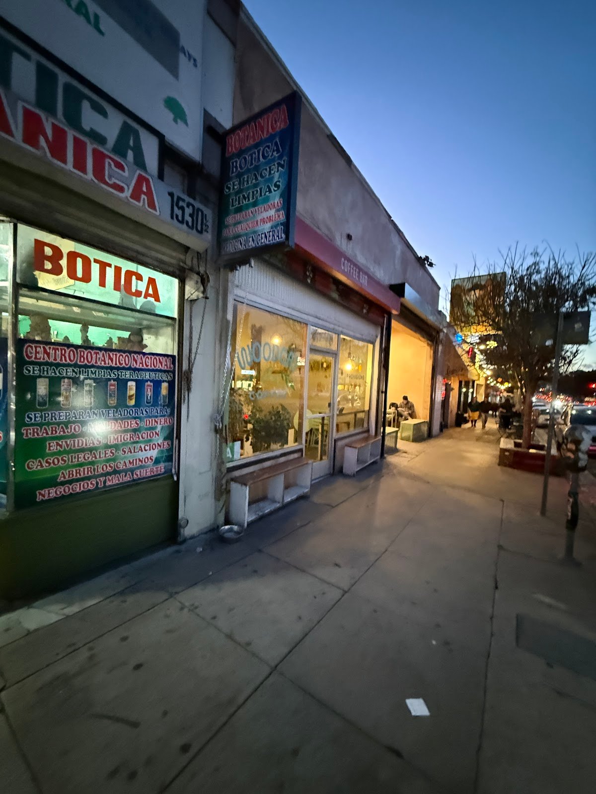 Woodcat Coffee specialty coffee shop in Los Angeles - photo 3