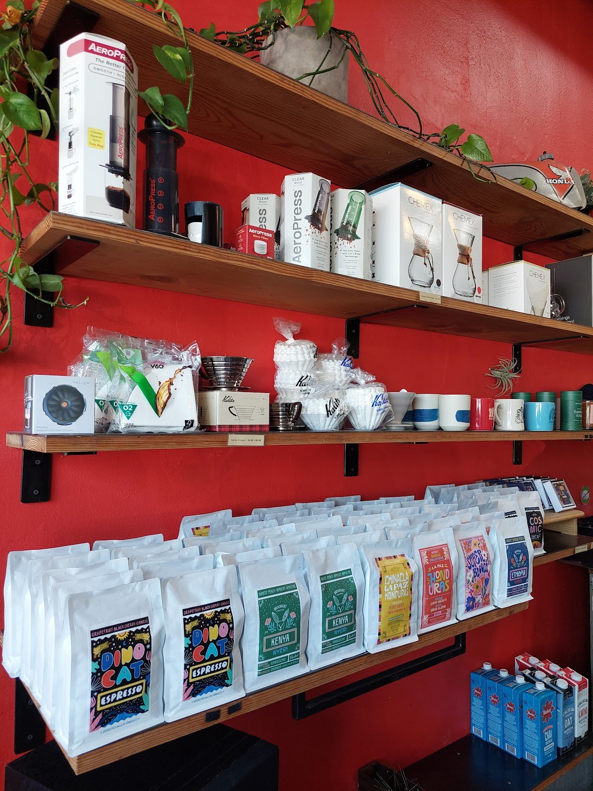 Woodcat Coffee specialty coffee shop in Los Angeles - photo 5