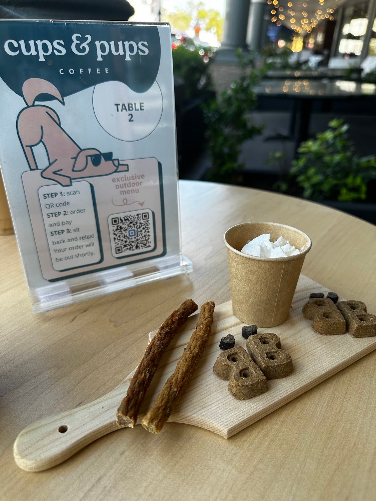 Cups and Pups Coffee specialty coffee shop in Orlando - photo 8