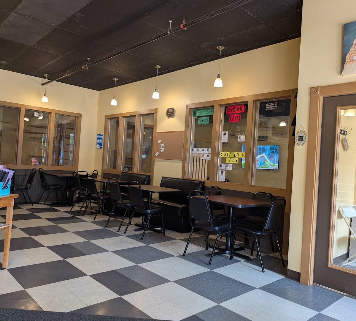 Kitty Korner Cafe specialty coffee shop in Montpelier-Barre - photo 3