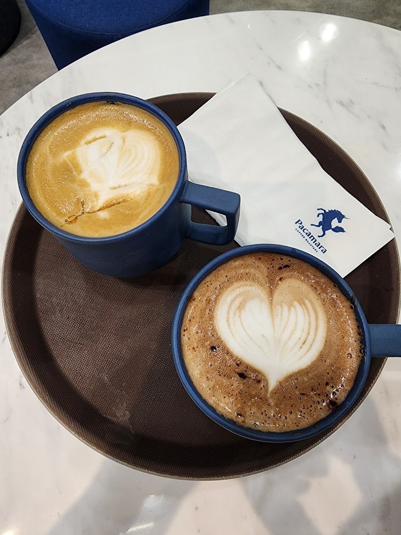 Pacamara Coffee Roasters Central Ladprao specialty coffee shop in Bangkok - photo 4