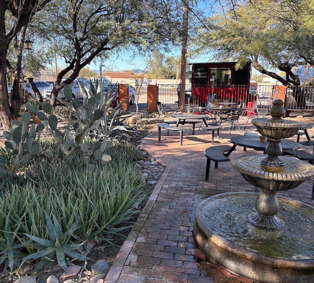 Red Captain Coffee Company specialty coffee shop in Tucson - photo 5