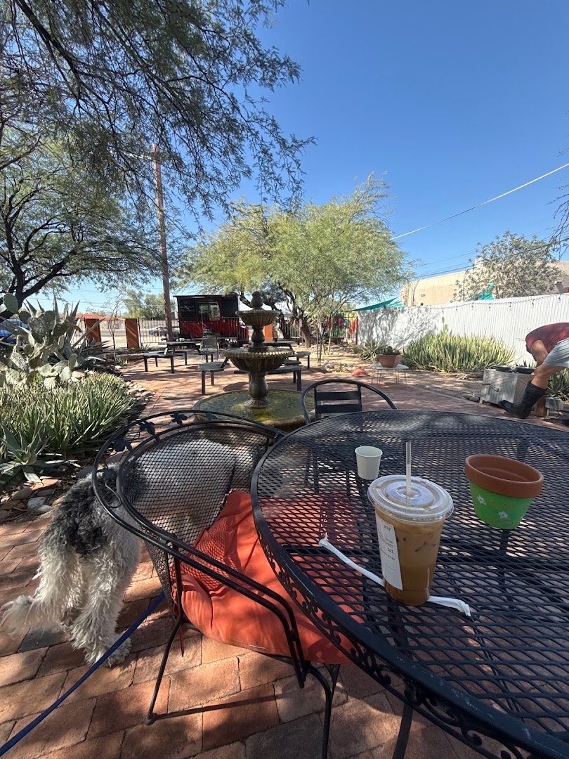 Red Captain Coffee Company specialty coffee shop in Tucson - photo 9
