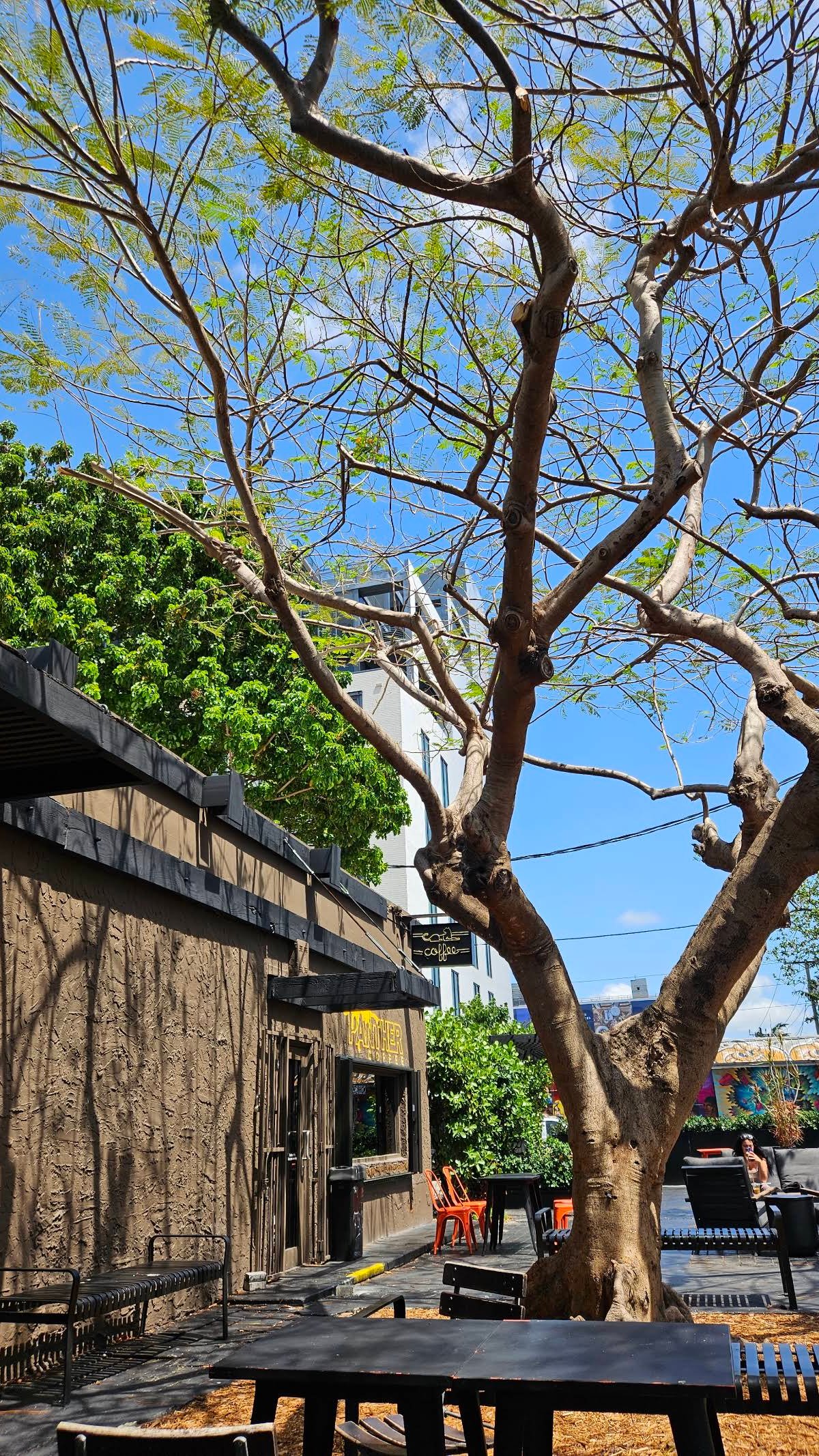 Panther Coffee - Wynwood specialty coffee shop in Miami - photo 10