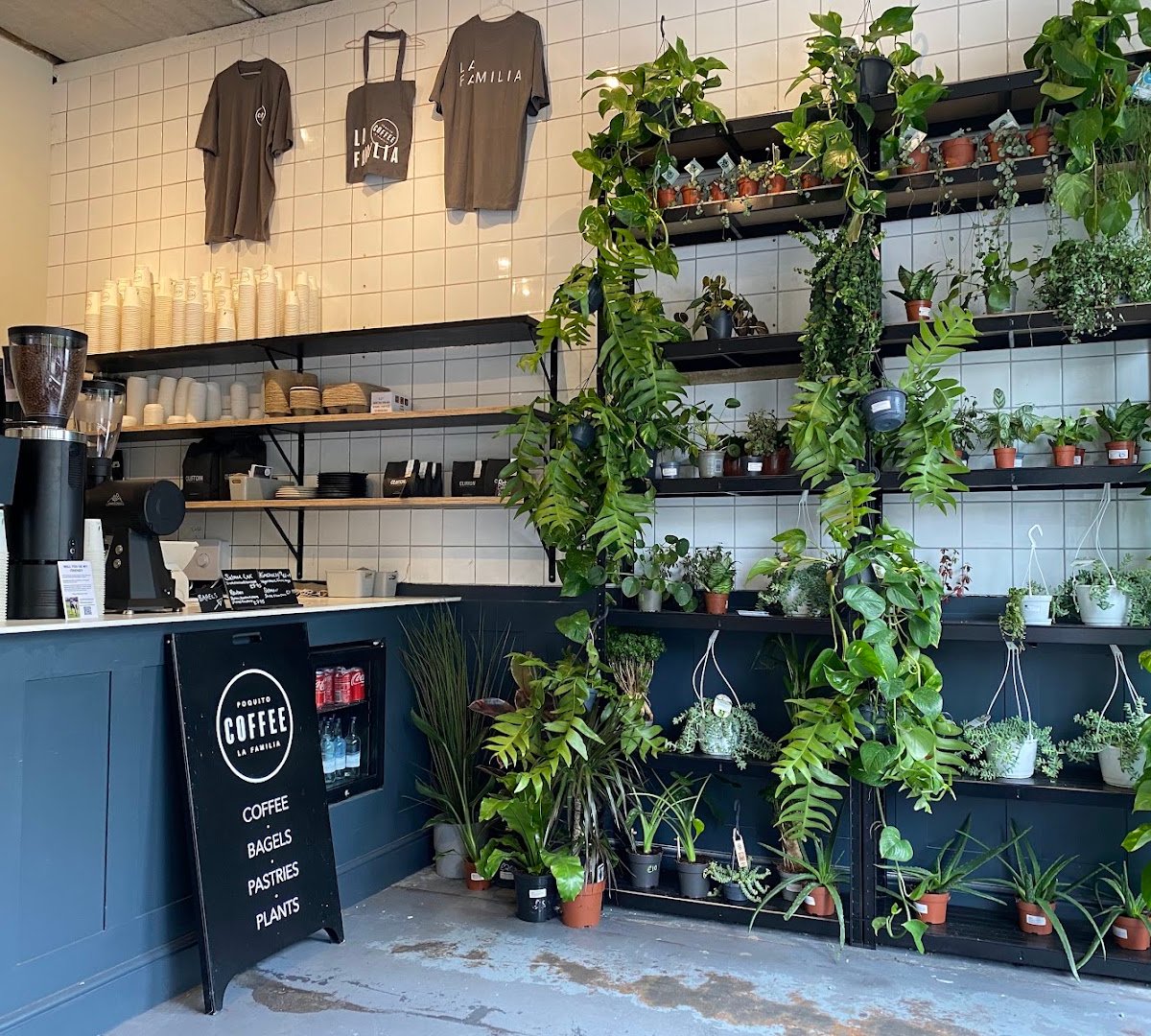 Poquito Coffee specialty coffee shop in Bristol - photo 3