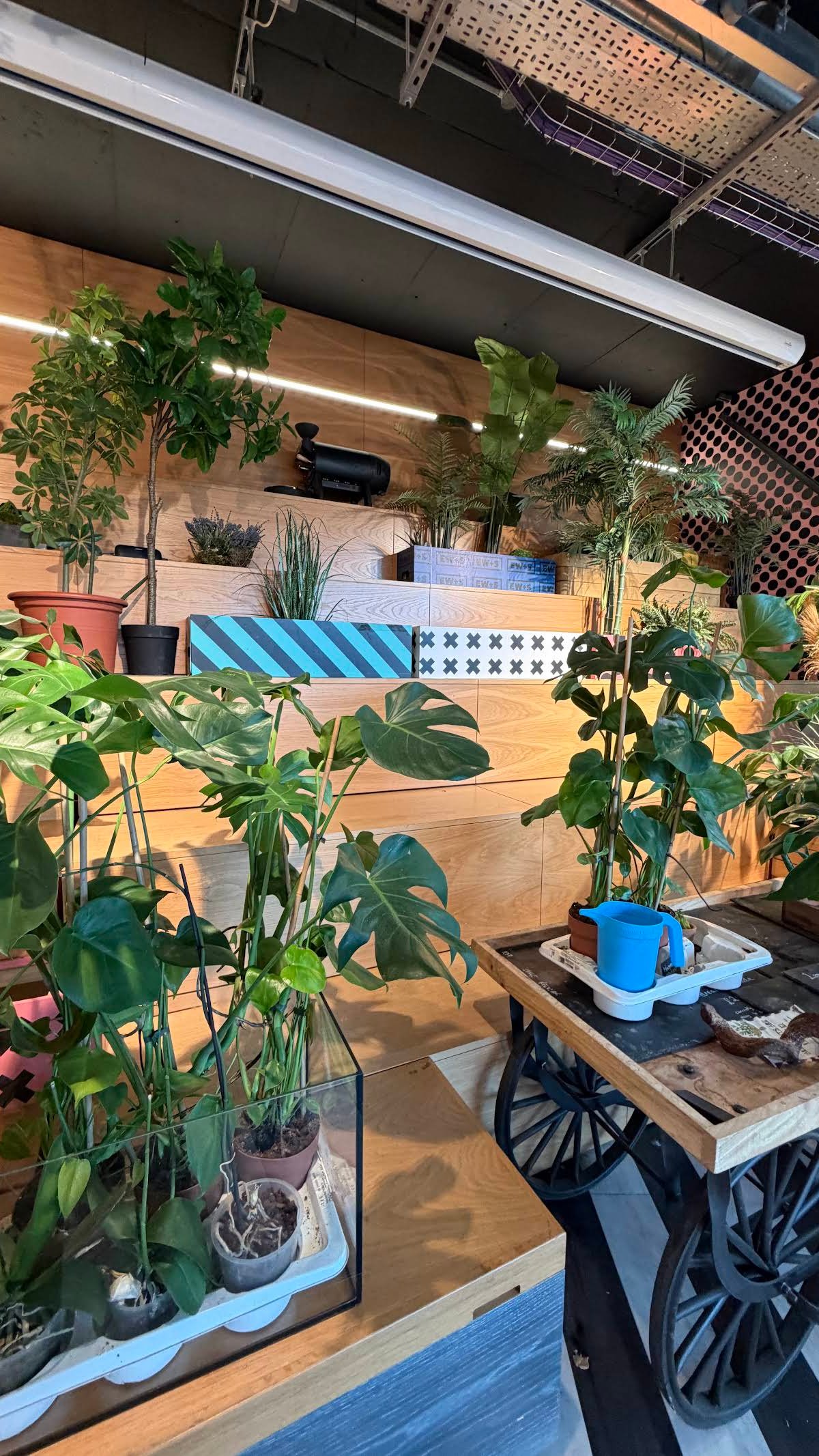 Clarnico Coffee specialty coffee shop in London - photo 14