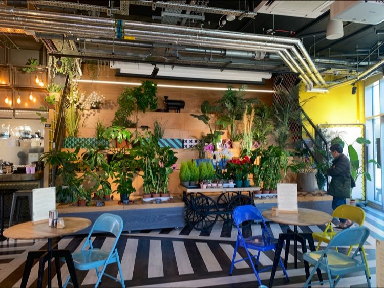 Clarnico Coffee specialty coffee shop in London - photo 4