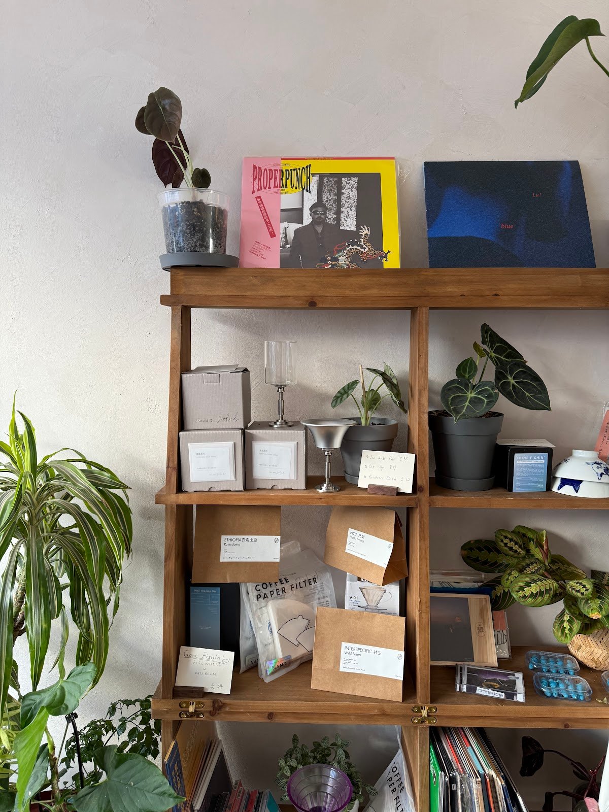 KillBean specialty coffee shop in London - photo 6