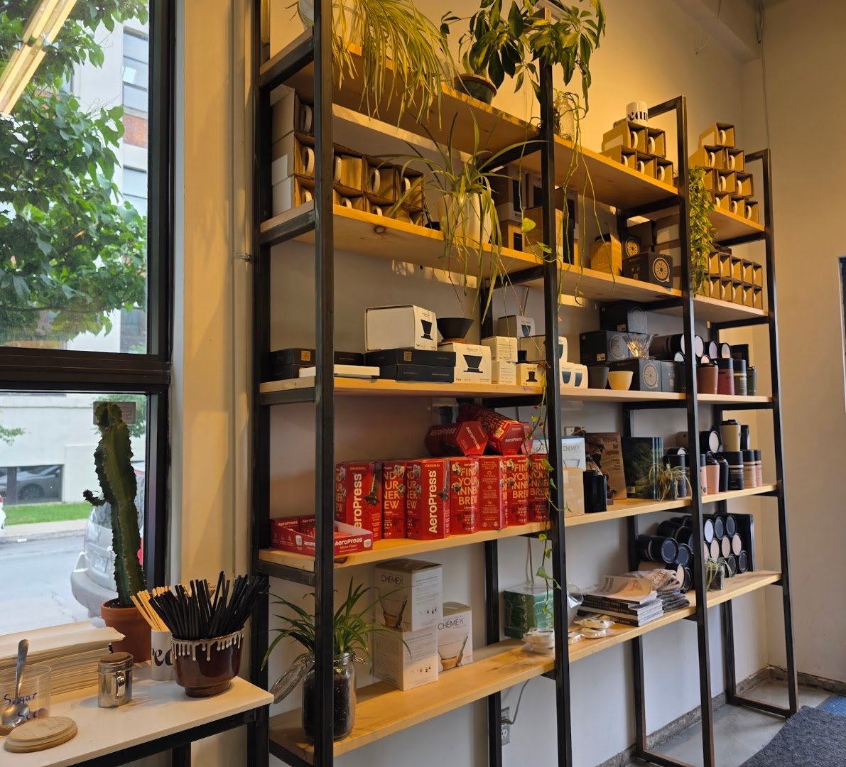 Interior of Dreamy, specialty coffee shop in Montreal