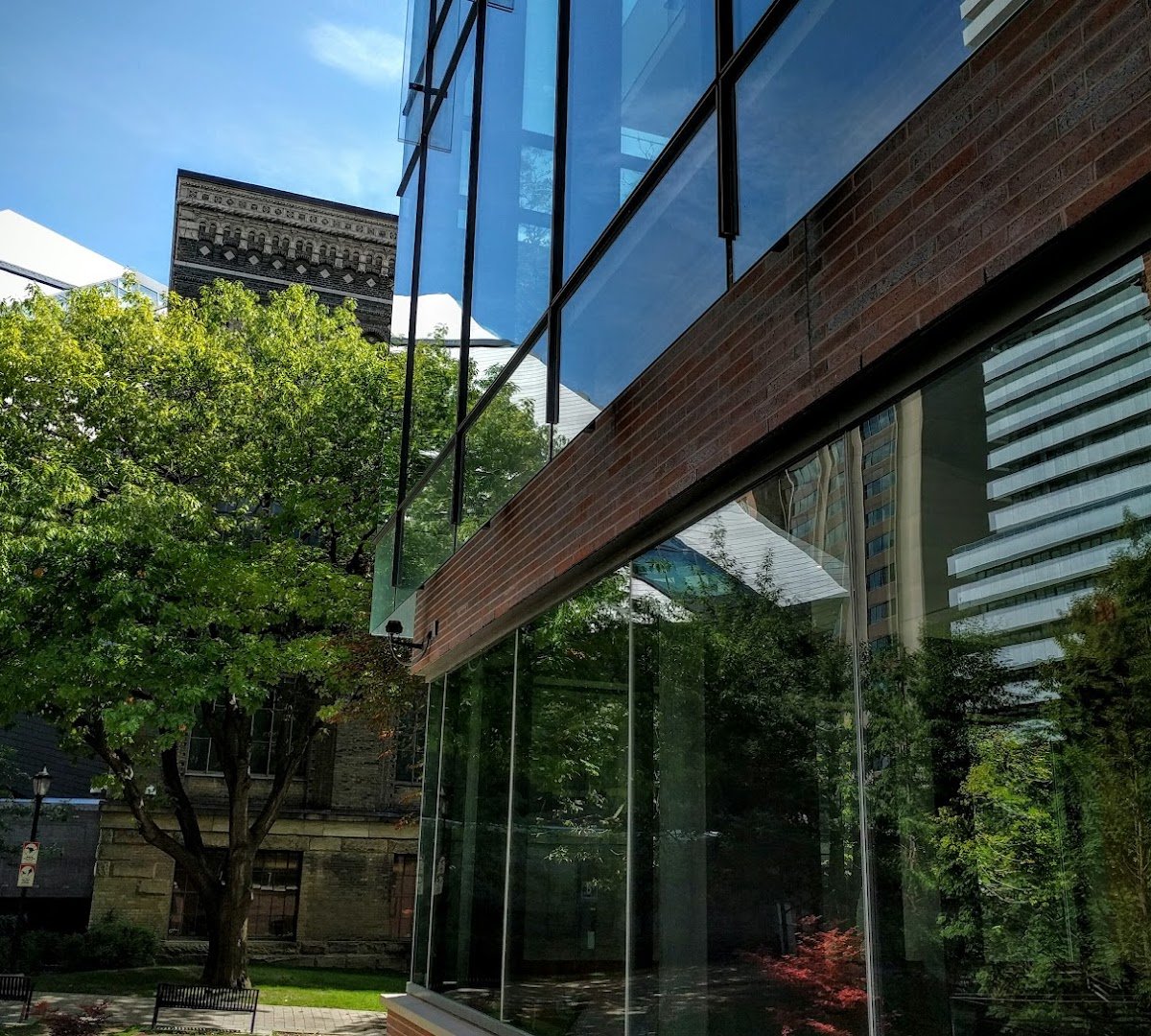 Storefront of B Espresso Bar, specialty coffee shop in Toronto
