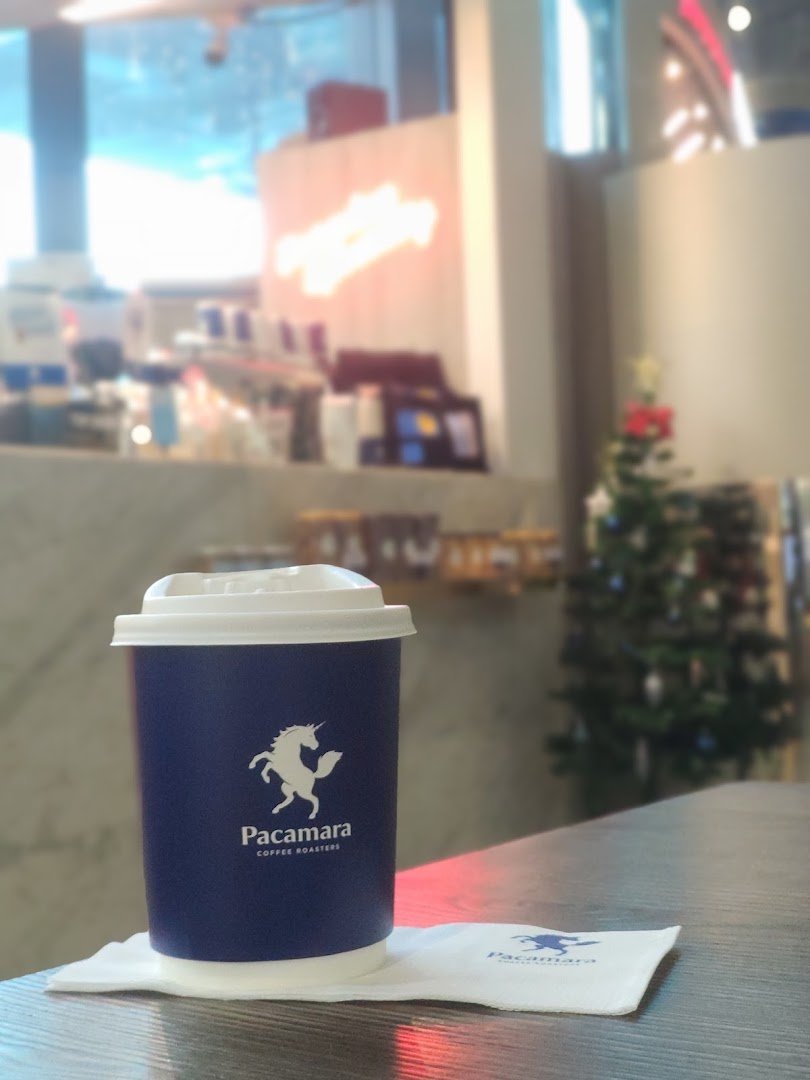 Pacamara Coffee Roasters Panjathani Tower specialty coffee shop in Bangkok - photo 4