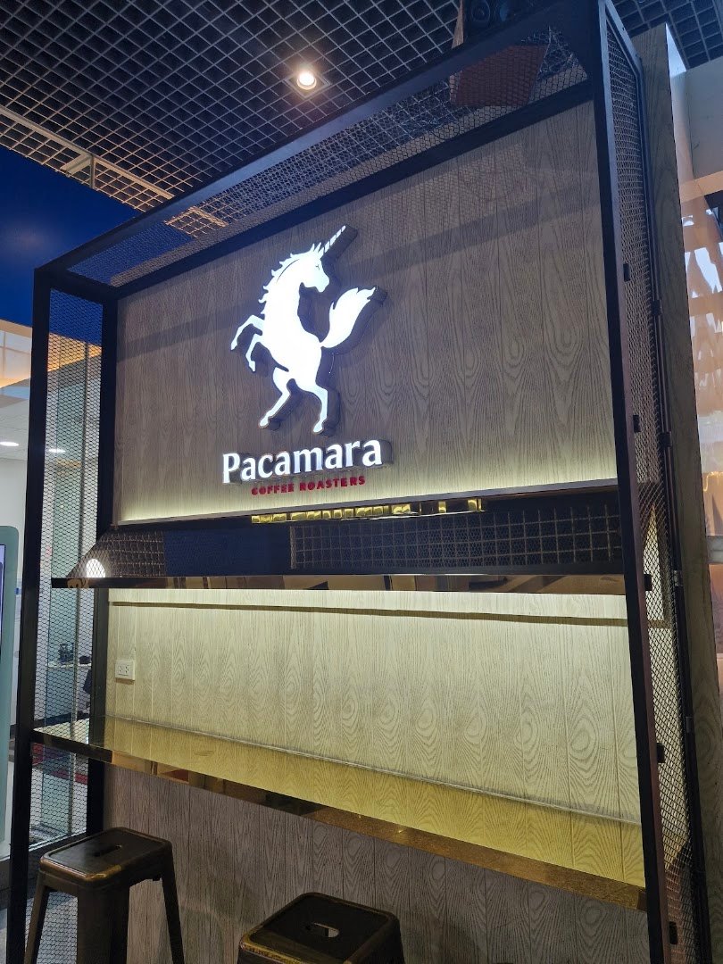Pacamara Coffee Roasters Panjathani Tower specialty coffee shop in Bangkok - photo 6