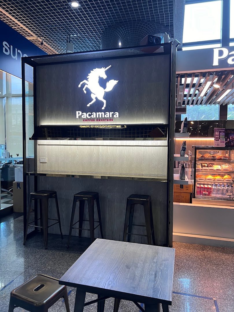 Pacamara Coffee Roasters Panjathani Tower specialty coffee shop in Bangkok - photo 8