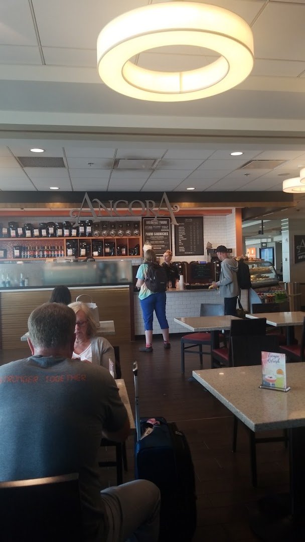 Interior of Ancora Coffee Roaster, specialty coffee shop in Madison